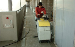 �����e�i���X