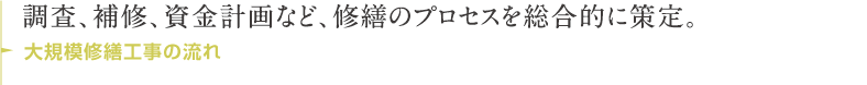 調査、補修、資金計画など、修繕のプロセスを総合的に策定。