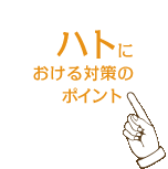 �n�g�ɂ�����΍�̃|�C���g