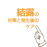 ���I�̑΍�Ɣ�����̃P�A