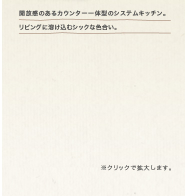 �J�����̂���J�E���^�[��̌^�̃V�X�e���L�b�`���B���r���O�ɗn�����ރV�b�N�ȐF�����B