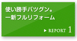 REPORT 1 �g������o�c�O���B��V�t�����t�H�[��