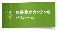 ���|�����J���^���ȃo�X���[��