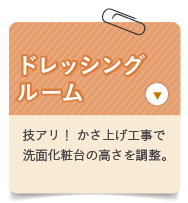 �h���b�V���O���[��