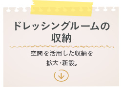 �h���b�V���O���[���̎��[