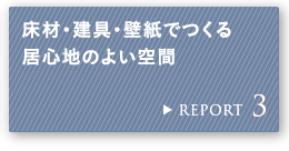 REPORT 3 ���ށE����E�ǎ��ł��鋏�S�n�̂悢���