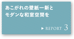 REPORT 3 ��������̕ǎ���V�ƃ��_���Șa����Ԃ�
