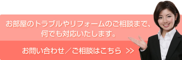 ���₢���킹�^�����k�͂�����  >>